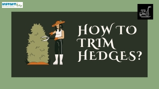 Do You Want To Know How To Trim Hedges?