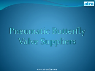 Pneumatic Butterfly Valve Suppliers