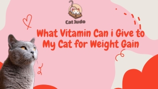 What Vitamin Can i Give to My Cat for Weight Gain
