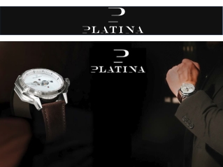 Swiss luxury watches