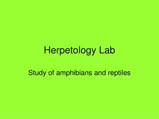 Herpetology Lab