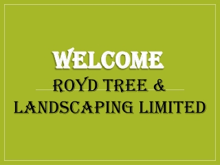 Best Fencing Services in Denstroude
