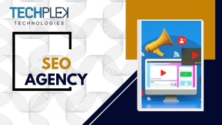 SEO and Online Reputation Management Services