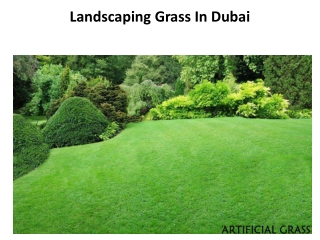 Landscaping Grass In Dubai