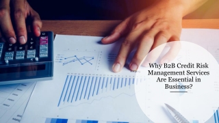 Why B2B Credit Risk Management Services Are Essential in Business