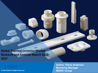 Thermal Ceramics Market Report PDF Industry Trend, Analysis & Revenue Statistics