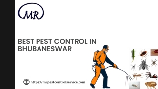 Best pest control in Bhubaneswar