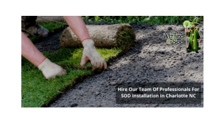 HIRE OUR TEAM OF PROFESSIONALS FOR SOD INSTALLATION IN CHARLOTTE NC