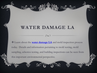 Water Damage LA