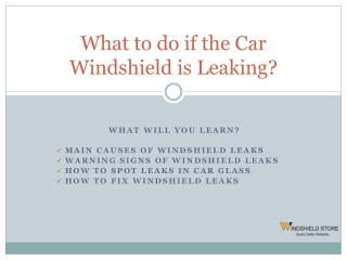 What to do if the Car Windshield is Leaking