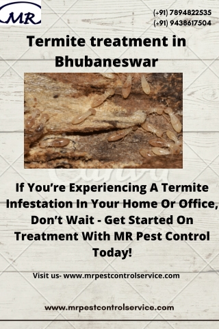 Rigorous & Best Termite Treatment In Bhubaneswar | MR Pest Control