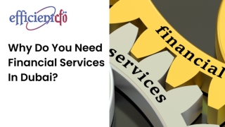 WHAT ARE THE TOP TEN RESPONSIBILITIES OF A CFO IN DUBAI