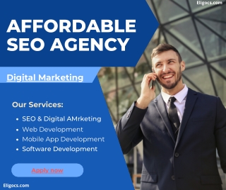 Best Affordable SEO Agency Services - Eligocs