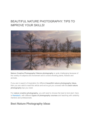 BEAUTIFUL NATURE PHOTOGRAPHY_ TIPS TO IMPROVE YOUR SKILLS