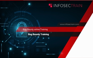 Bug Bounty online Training