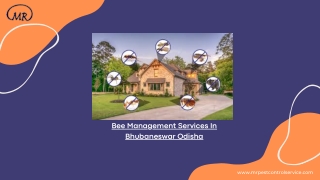 Bee Management Services In Bhubaneswar Odisha