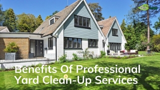 Benefits Of Professional Yard Clean-Up Services