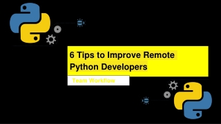 6 Tips to Improve Remote Python Developers Team Workflow