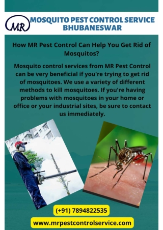 Effective, Intensive & Affordable Mosquito Pest Control Service Bhubaneswar | MR