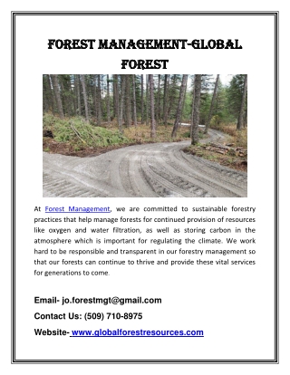 Forest Management Provides a Best Services
