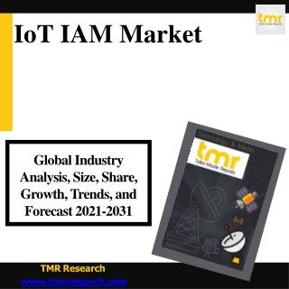 IoT IAM - Undergoing significant development in Consumer & Business Environments