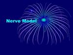 Nerve Model