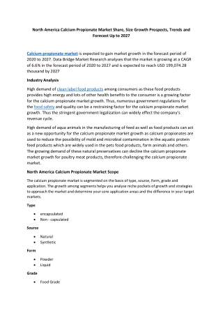 North America Calcium Propionate Market