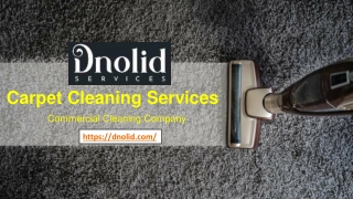 DNOLID’s Carpet Cleaning Services