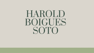 Harold Soto a Successful Businessman In The USA