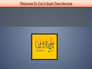 Best Tree Removal Services In Mornington | Cut It Right Tree Service Pty Ltd