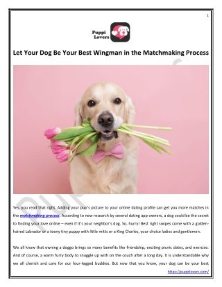 Let Your Dog Be Your Best Wingman in the Matchmaking Process