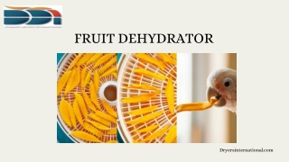 Fruit Dehydrator