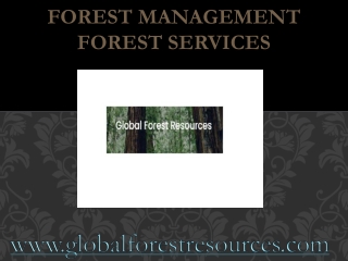 Forest Management forest services