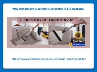 Why Upholstery Cleaning is Important Six Reasons