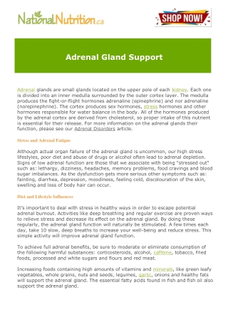 Adrenal Gland Support PDF