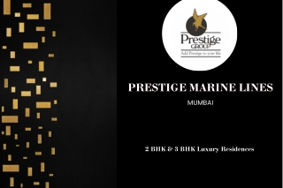 Prestige Marine Lines Mumbai PDF