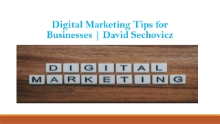 Digital Marketing Tips for Businesses | David Sechovicz