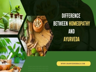 Difference Between Homeopathy and Ayurveda