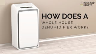 HOW DOES A WHOLE HOUSE DEHUMIDIFIER WORK