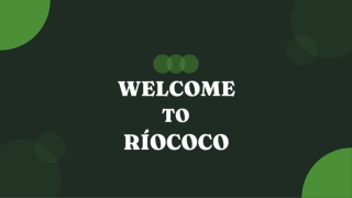 Interested in 100% OMRI-certified cocopeat grow bags Explore RIOCOCO