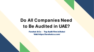 Do All Companies Need to Be Audited in UAE