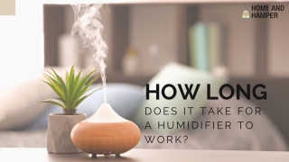 HOW LONG DOES IT TAKE FOR A HUMIDIFIER TO WORK