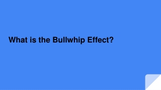 What is the Bullwhip Effect?