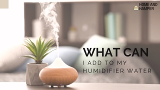 What Can I Add To My Humidifier Water
