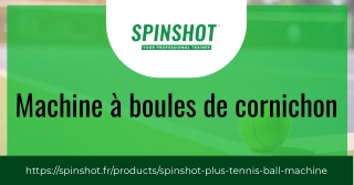Machine à boules de cornichon robuste à faible coût