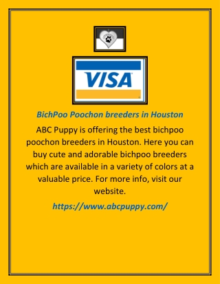 BichPoo Poochon breeders in Houston