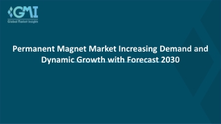 Permanent Magnet Market