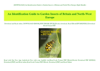 [DOWNLOAD] An Identification Guide to Garden Insects of Britain and North-West Europe (Epub Kindle)