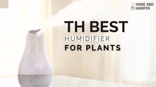 THE BEST HUMIDIFIER FOR PLANTS