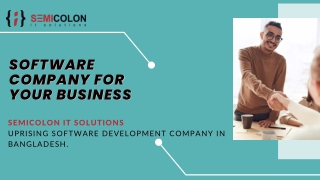 Software Company in Bangladesh - Semicolon IT Solutions